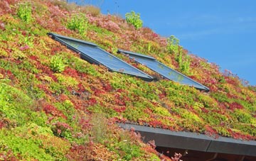Tullymurry living roof systems