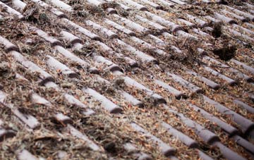 Tullymurry roof cleaning companies