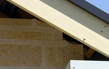 soffit repair Tullymurry