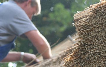 professional Tullymurry thatchers