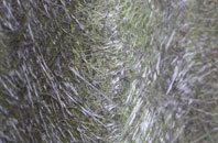 Tullymurry fibreglass roof work